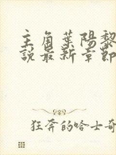 主角叶阳黎洁小说最新章节更新