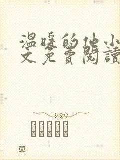 温暖的他小说全文免费阅读无弹窗