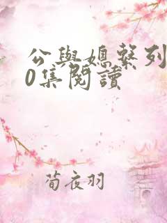 公与媳系列100集阅读