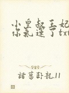 小皇叔王妃又薅你气运了txt