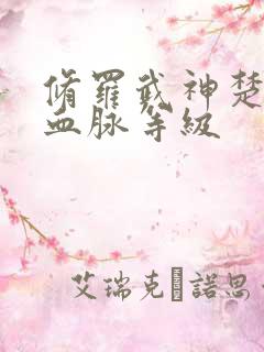修罗武神楚枫的血脉等级