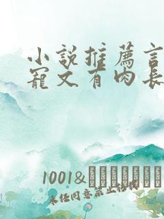 小说推荐言情甜宠文有肉长篇