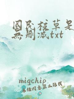 国民校草是女生无删减txt
