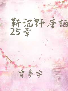 靳沉野唐栖雾第25章