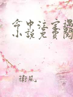 命中注定遇见你小说免费阅读