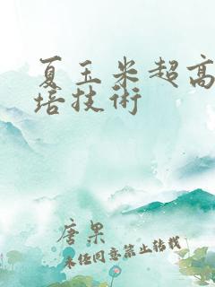 夏玉米超高产栽培技术
