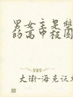男女主是双学霸的高中校园小说