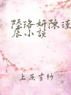 陆珞妍陈瑾南顾辰小说