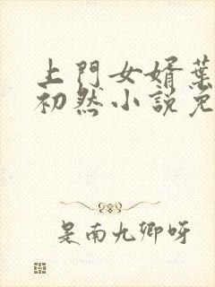 上门女婿叶辰萧初然小说免费