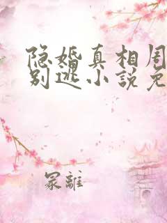 隐婚真相周少你别逃小说免费阅读