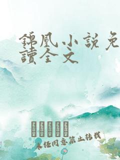 锦凰小说免费阅读全文