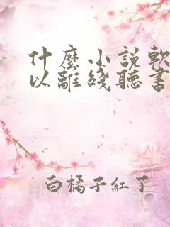 什么小说软件可以离线听书