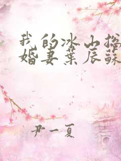 我的冰山总裁未婚妻叶辰苏夕月
