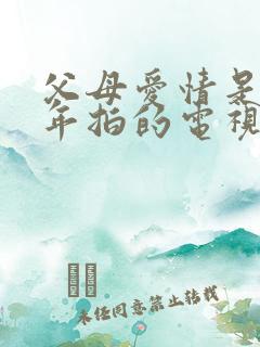 父母爱情是哪一年拍的电视剧