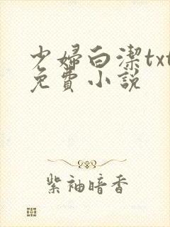 少妇白洁txt免费小说