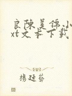 良陈美锦小说txt文本下载