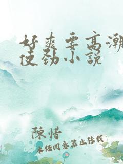 好爽要高潮了快使劲小说
