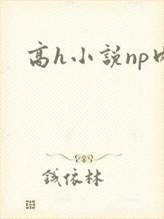 高h小说np肉