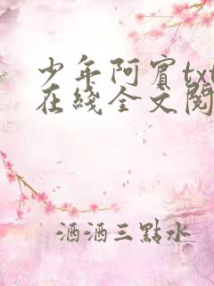 少年阿宾txt在线全文阅读