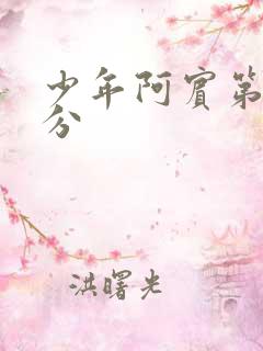 少年阿宾第二部分