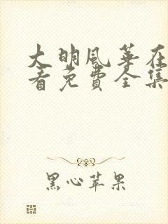 大明风华在线观看免费全集