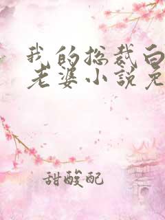 我的总裁白富美老婆小说免费
