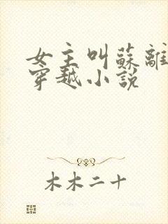 女主叫苏离离的穿越小说