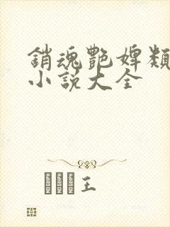 销魂艳婢类似的小说大全