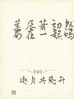 叶辰萧初然大结局在一起吗