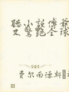 听小说傅爷夫人又惊艳全球了