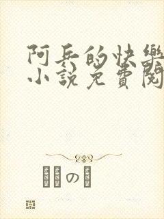 阿兵的快乐生活小说免费阅读全章