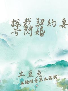 总裁契约妻顾兮兮闪婚