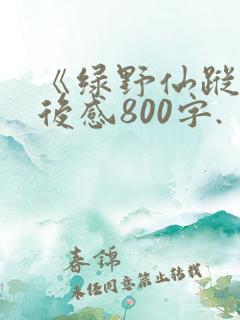 《绿野仙踪》读后感800字.