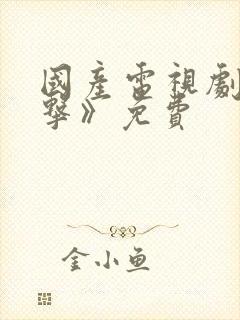 国产电视剧《反击》免费