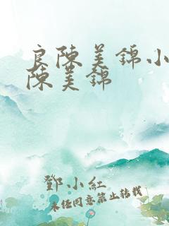 良陈美锦小说良陈美锦
