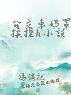 公交车奶罩伸进揉捏h小说