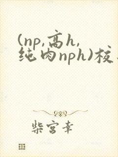 (np,高h,纯肉nph)校园