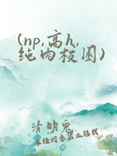 (np,高h,纯肉校园)