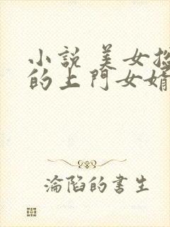 小说 美女总裁的上门女婿