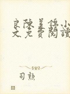 良陈美锦小说全文免费阅读