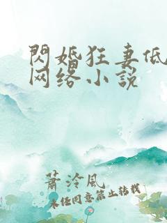 闪婚狂妻低调点网络小说