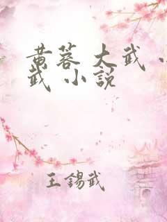 黄蓉 大武 小武 小说