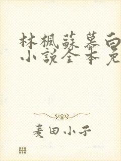 林枫苏慕白穿越小说全本免费阅读纯阳武神