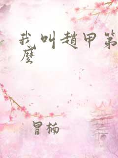 我叫赵甲第好看么