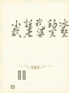 小说我的冰山总裁老婆完整版