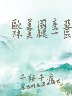 欧美国产亚洲丝袜美腿一区