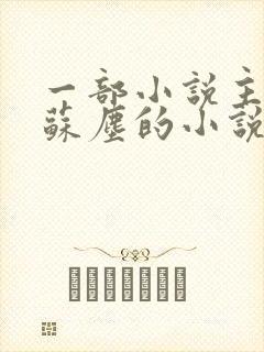 一部小说主角叫苏尘的小说
