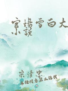 官场雪白大长腿小说