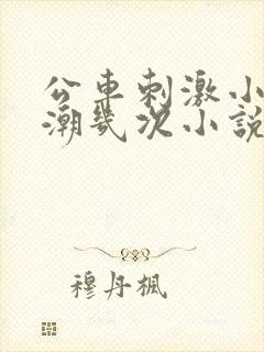公车刺激小莹高潮几次小说