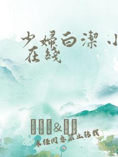 少妇白洁 小说 在线